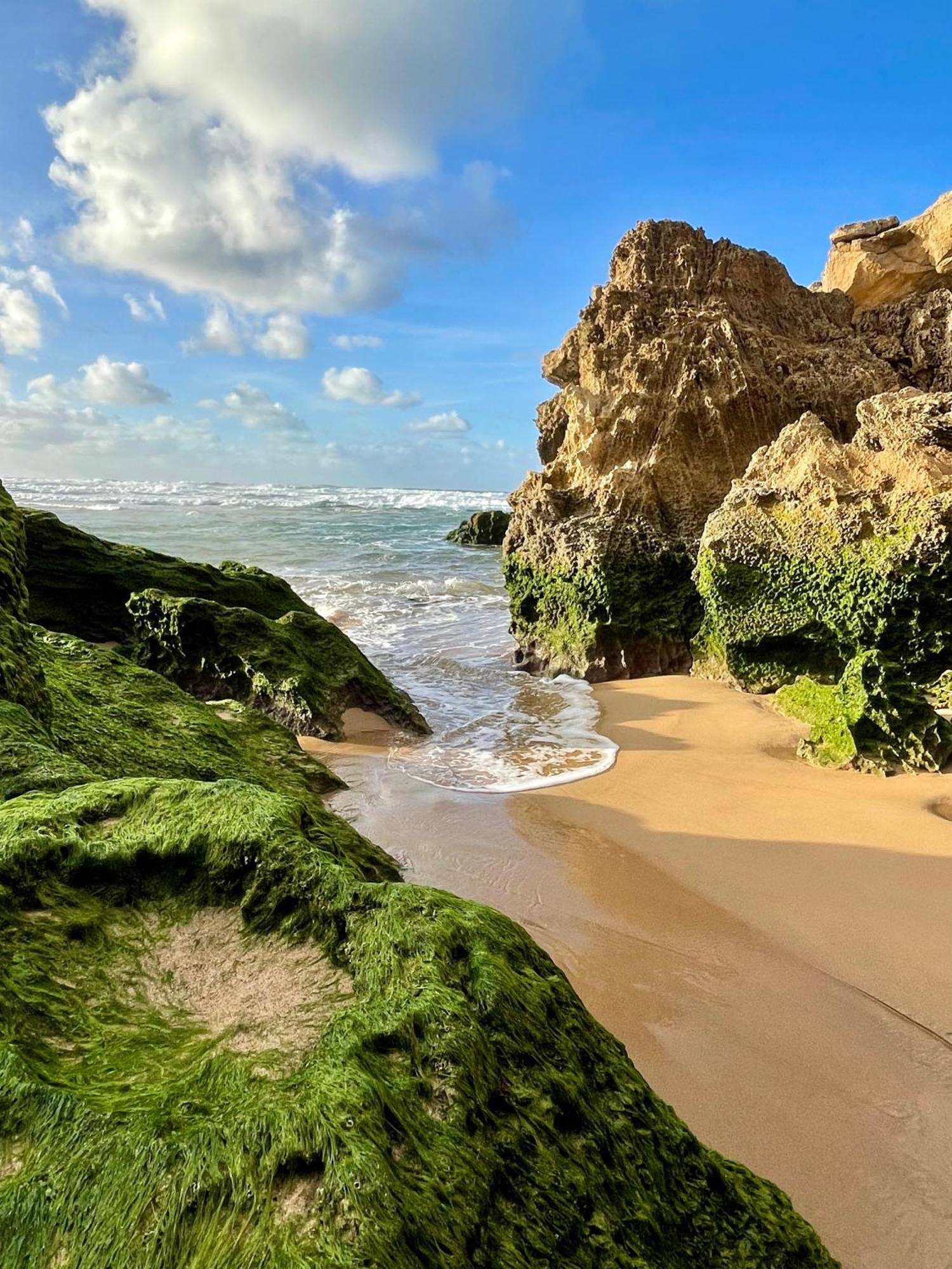 California Dream Inn Aljezur Ngoại thất bức ảnh