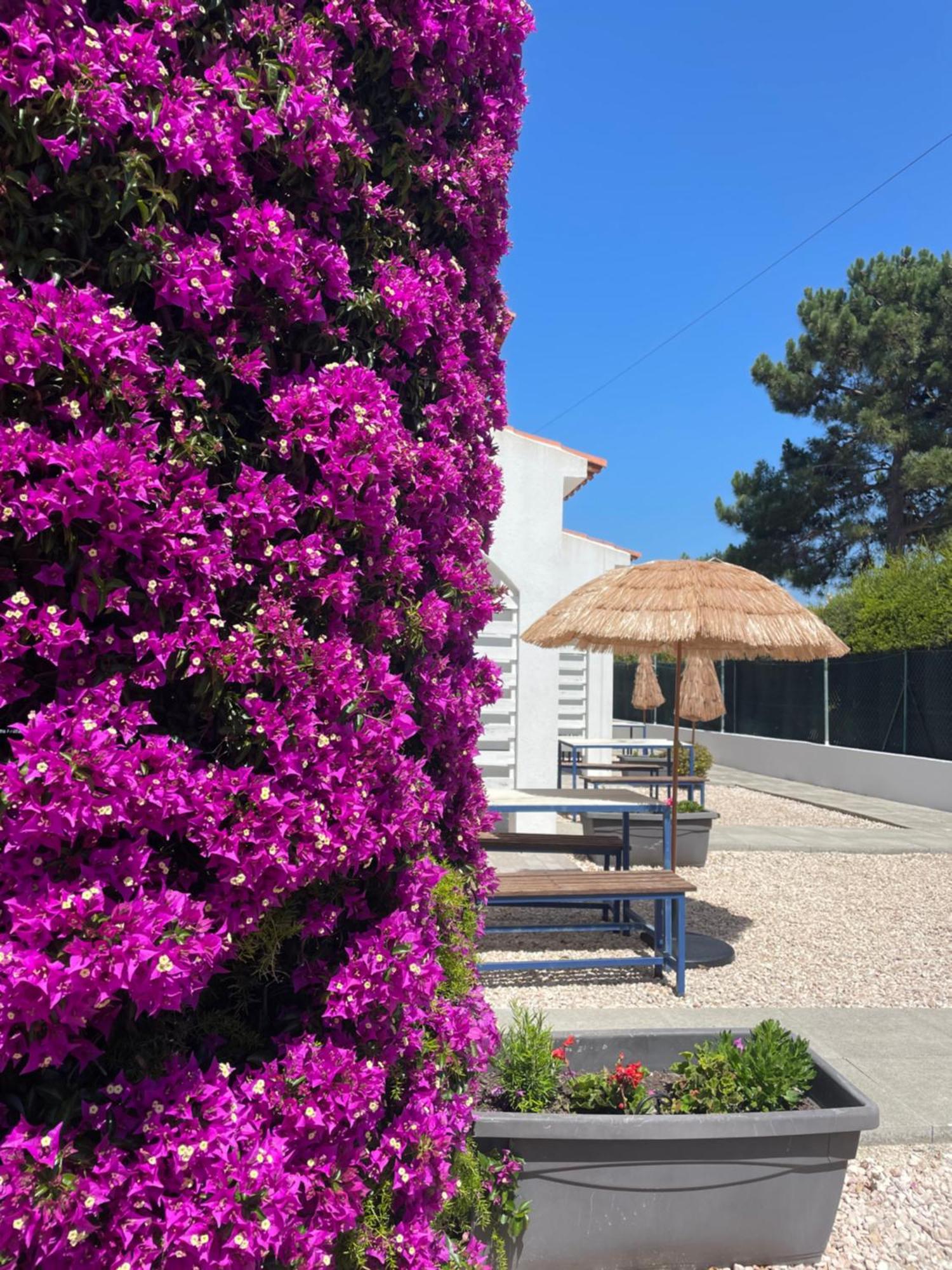 California Dream Inn Aljezur Ngoại thất bức ảnh